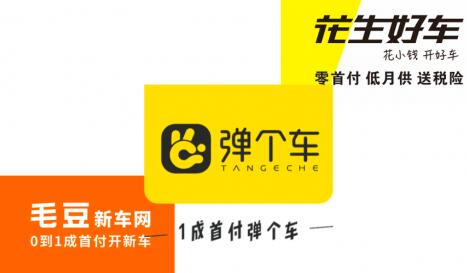 毛豆新车