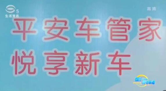 平安车管家